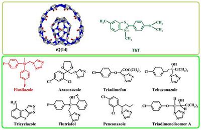 Supramolecular Fluorescence Probe Based on Twisted Cucurbit[14]uril for Sensing Fungicide Flusilazole